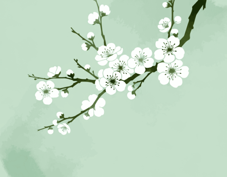 The Plum Tree Clinic Brighton Homeopathy - plum flower blossom